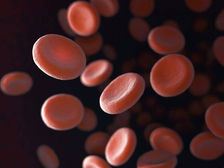 콘드로이친 1200mg