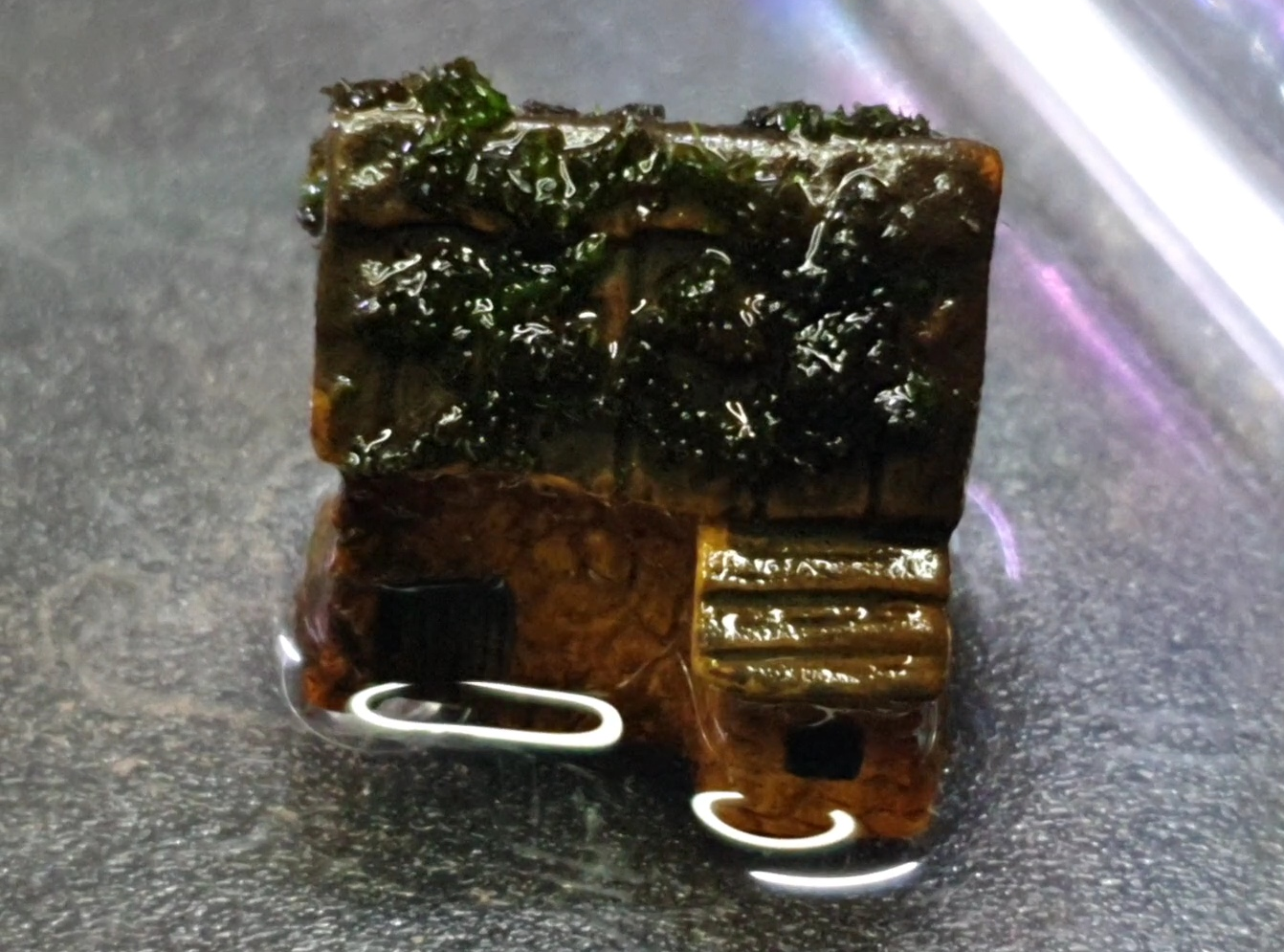 집 모양의 미니 피규어에 덕지덕지 붙은 이끼