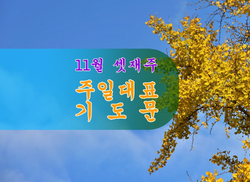11월 셋째 주 주일대표기도문 추수감사절기도문