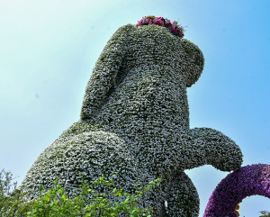 고양국제꽃박람회