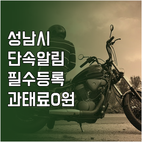 성남시 주정차 단속 알림 서비스 등록..