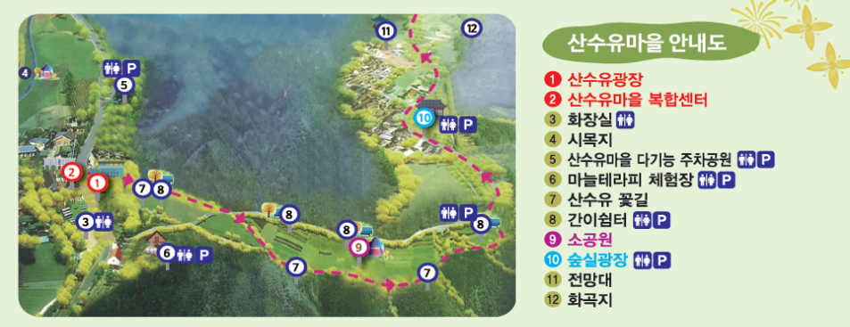 의성 산수유 축제