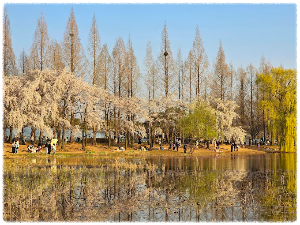 일산호수공원