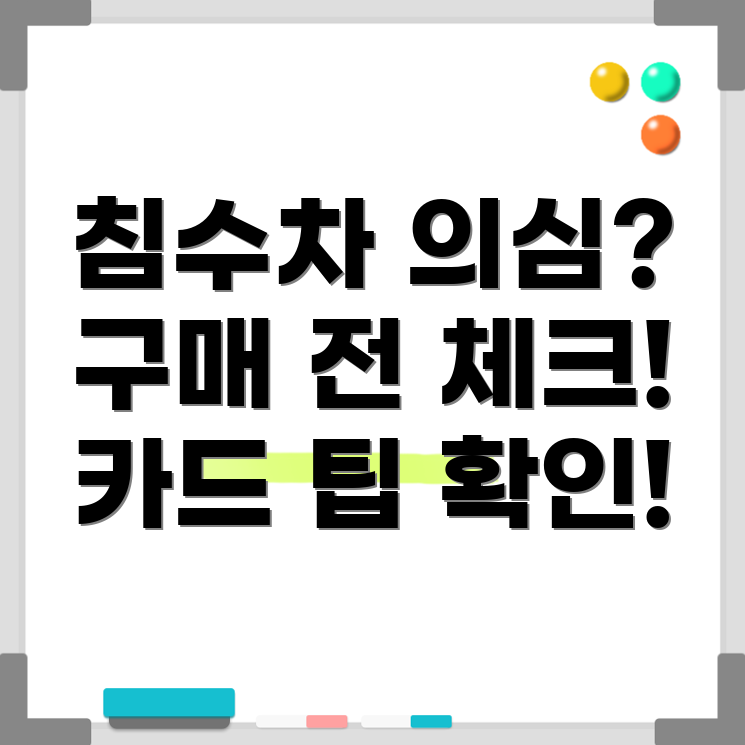 침수차 식별