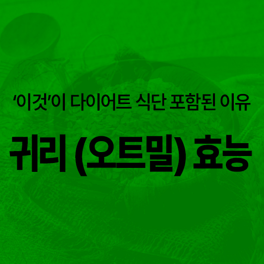 귀리 효능 부작용 먹는법 알아보기