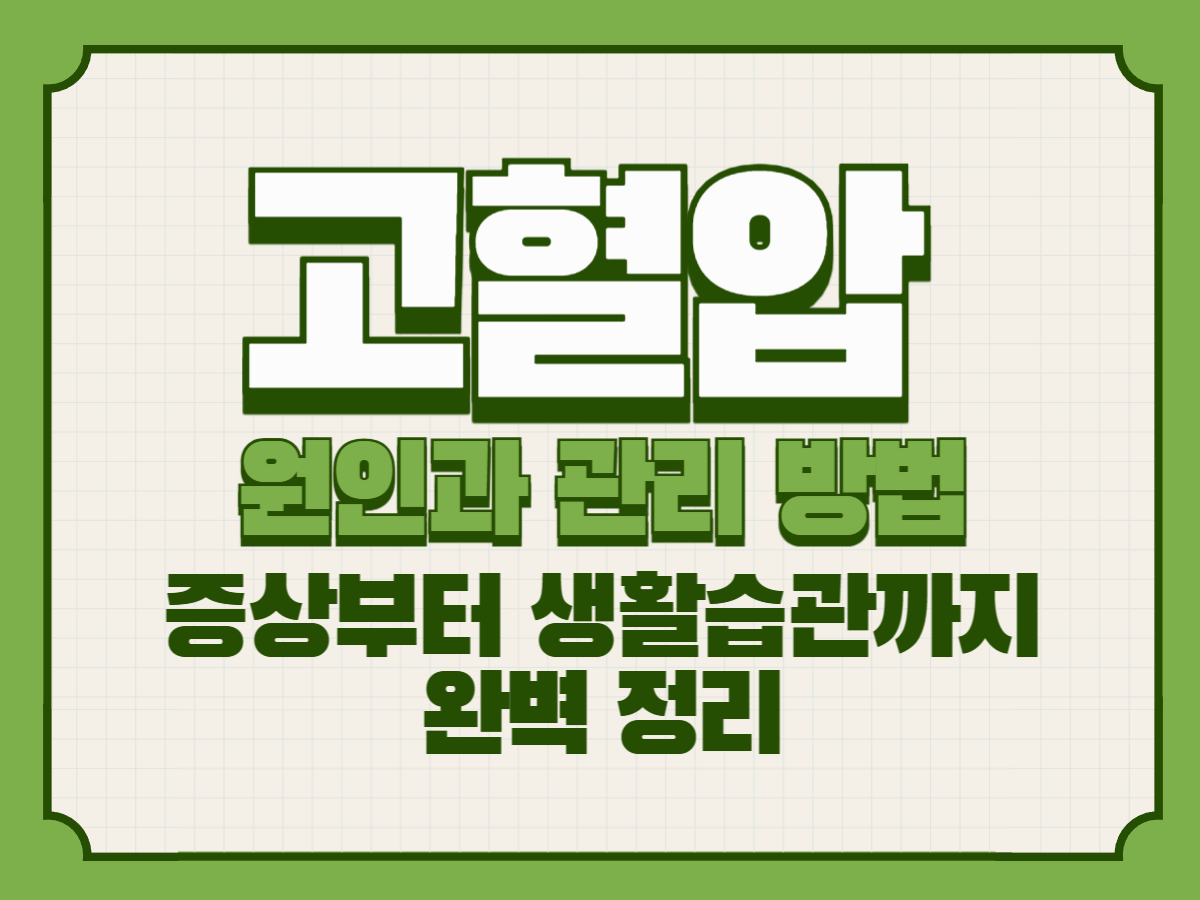 고혈압 원인과 관리 방법｜증상부터 생활습관까지 완벽 정리