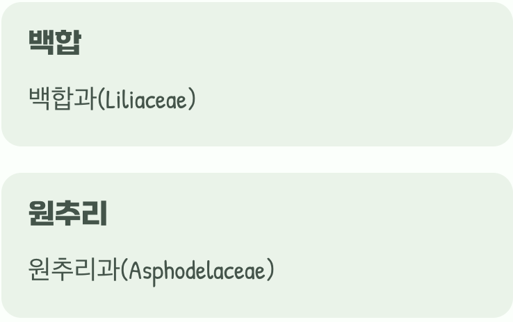 겉모습은 닮았지만, 남남이에요