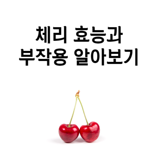 체리 효능과 부작용