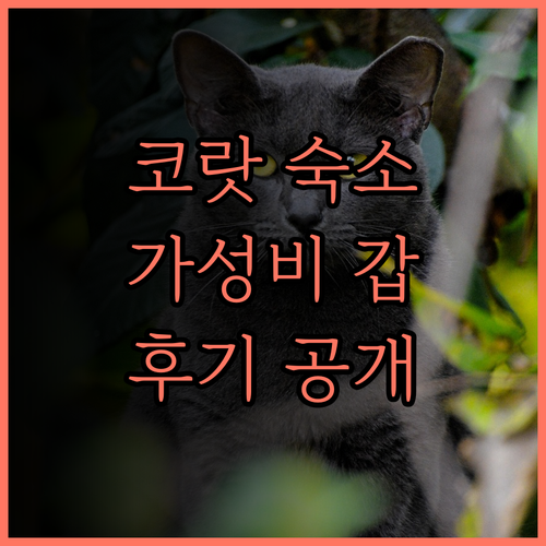 B2 코랏 나이트 마켓 부티크 앤 버