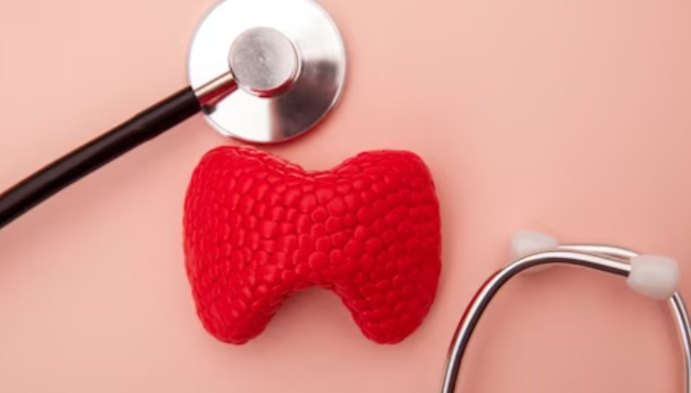 갑상선 기능 저하증 관리