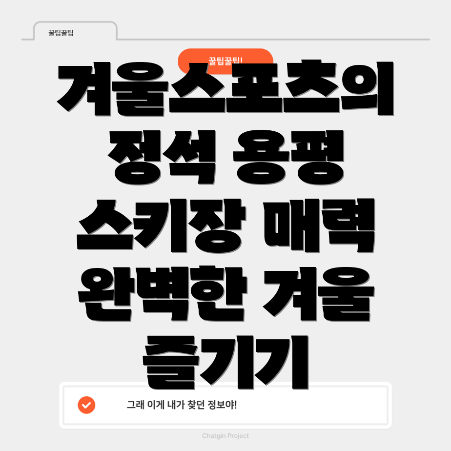 용평 스키장 코스