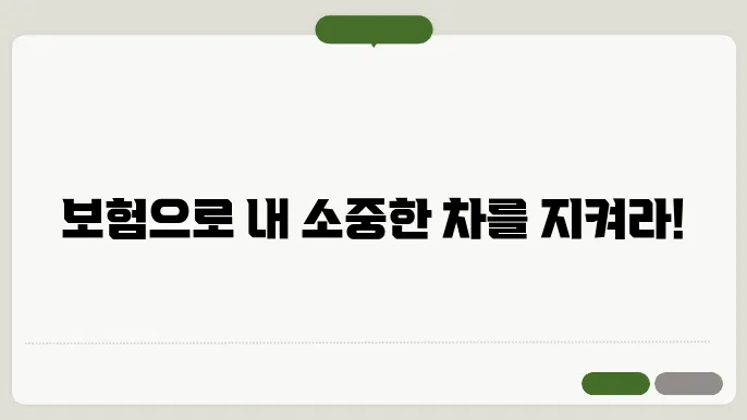 자동차보험 보상범위