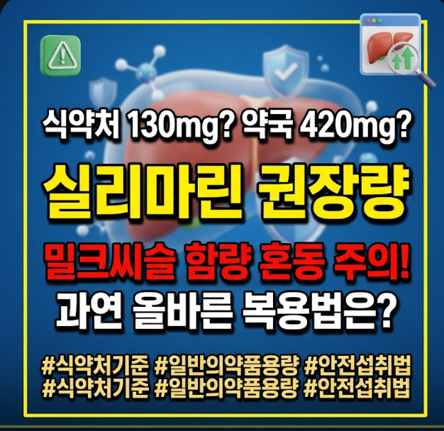 실리마린 하루 권장량