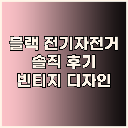 Himoto Black 전기자전거 솔..