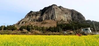 제주도 가볼만한곳 10곳 여행지 모음_11