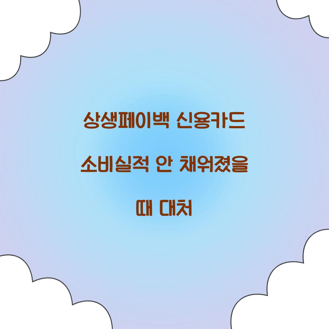 상생페이백 신용카드 소비실적 안 채워졌을 때 대처