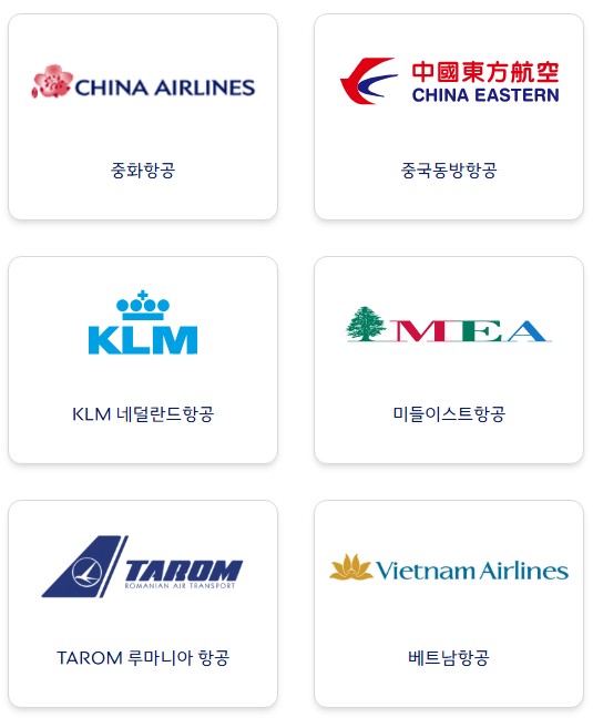 중화항공, KLM, 베트남항공 등 다양한 아시아 및 유럽 제휴 항공사 로고 목록 이미지