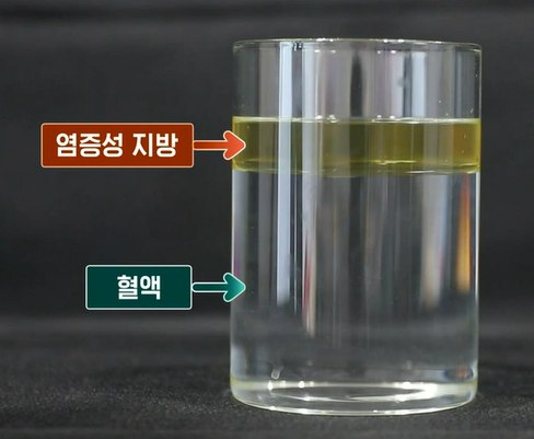락토페린 효능