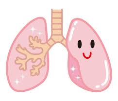 폐에 물이 차는 원인