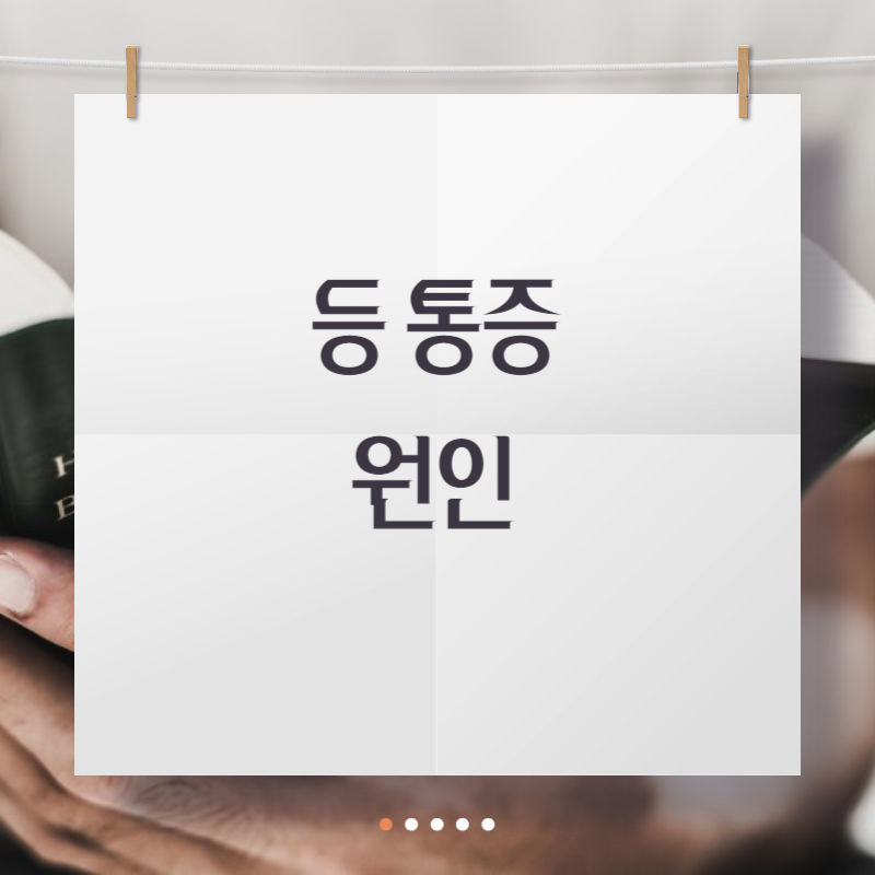 등 통증 원인
