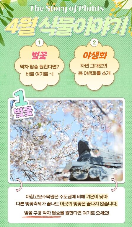 2025 봄꽃페스타: 아침고요수목원에서 만나는 봄의 향연!