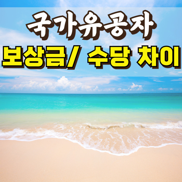 바다 사진이에요.