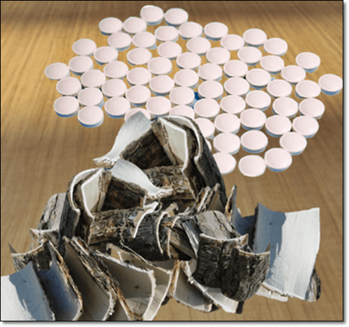 버드나무껍질과 아스피린