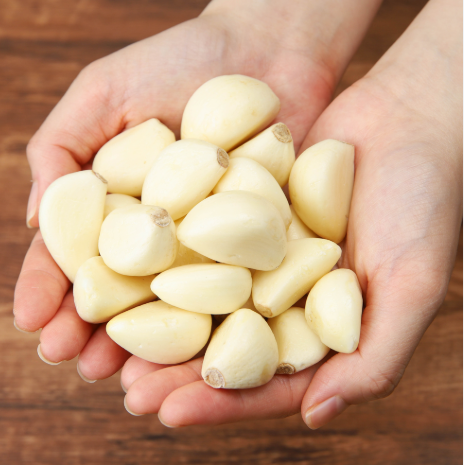 건강이 가득담긴 한줌 마늘