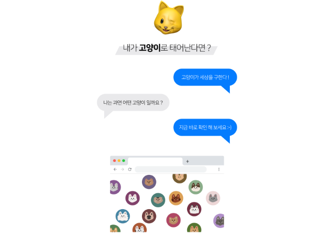 고양이 MBTI