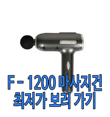 마사지건 핏테라 F - 1200 사진