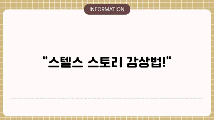 인스타그램 스토리 몰래보기 사이트 5곳 2025년