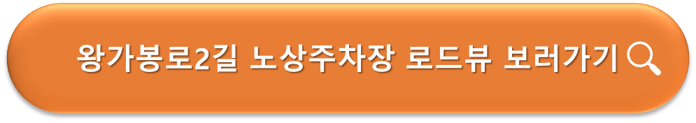 왕가봉로 2길 노상주차장 로드뷰