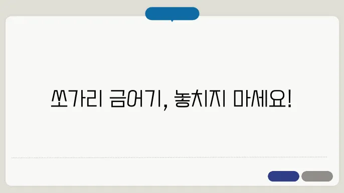 쏘가리 금어기