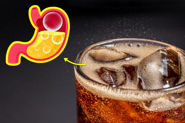 위가 부은 느낌 위가 붓는 이유 탄산 맥주