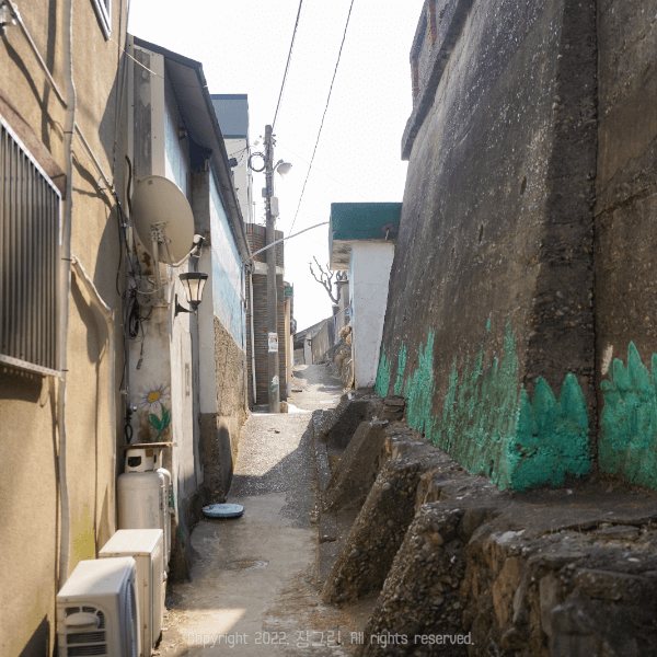 경주감포-해국길
