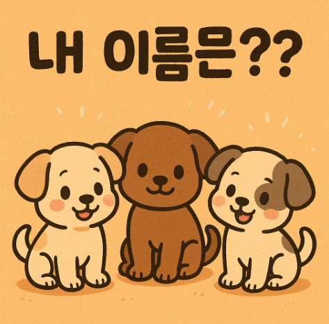 강아지 이름 관련 사진