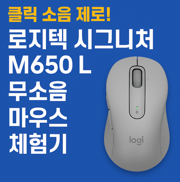 클릭 소음 제로 마우스 사용 후기