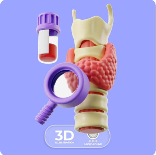 신체 부위 중 갑상선의 모습