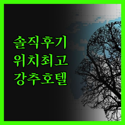 솔직 후기! 캐노피 바이 힐튼 워싱턴