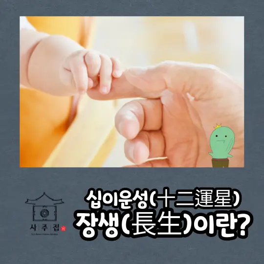 십이운성 장생과 관련한 포스팅의 썸네일