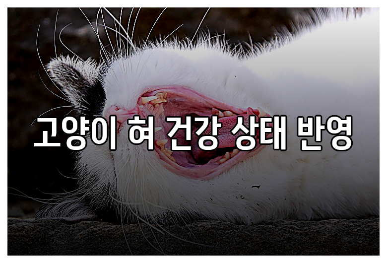 고양이 혀 건강 상태 반영