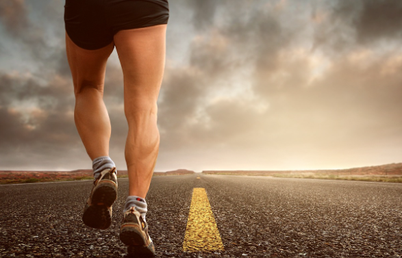 국민건강보험 환급금 조회