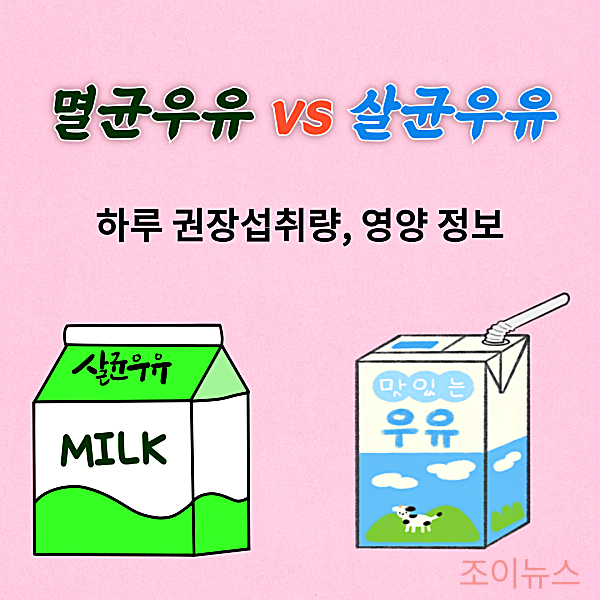 멸균우유vs살균우유, 차이점과 하루권장섭취량