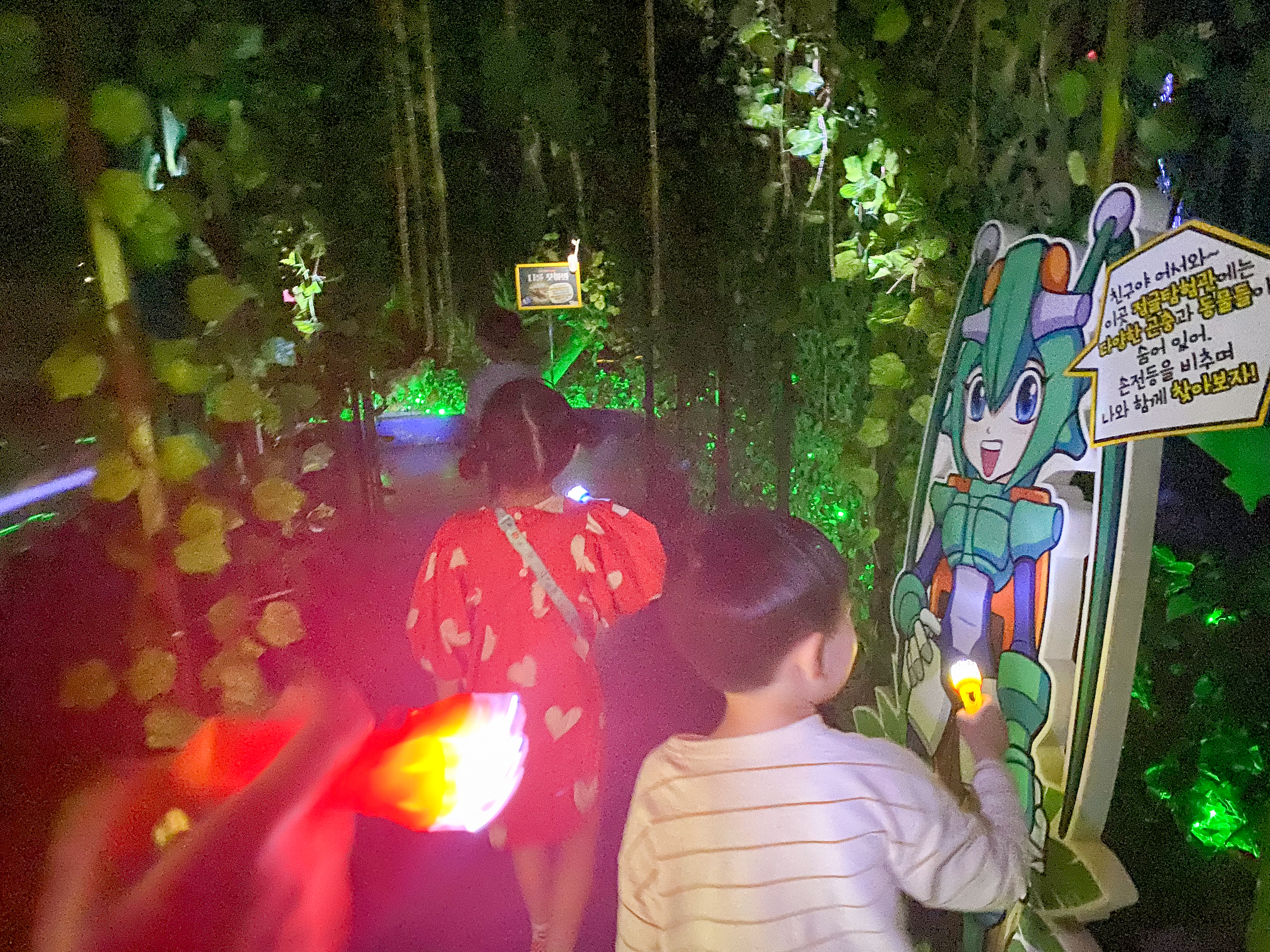 손전등 들고 곤충 찾아 삼만리