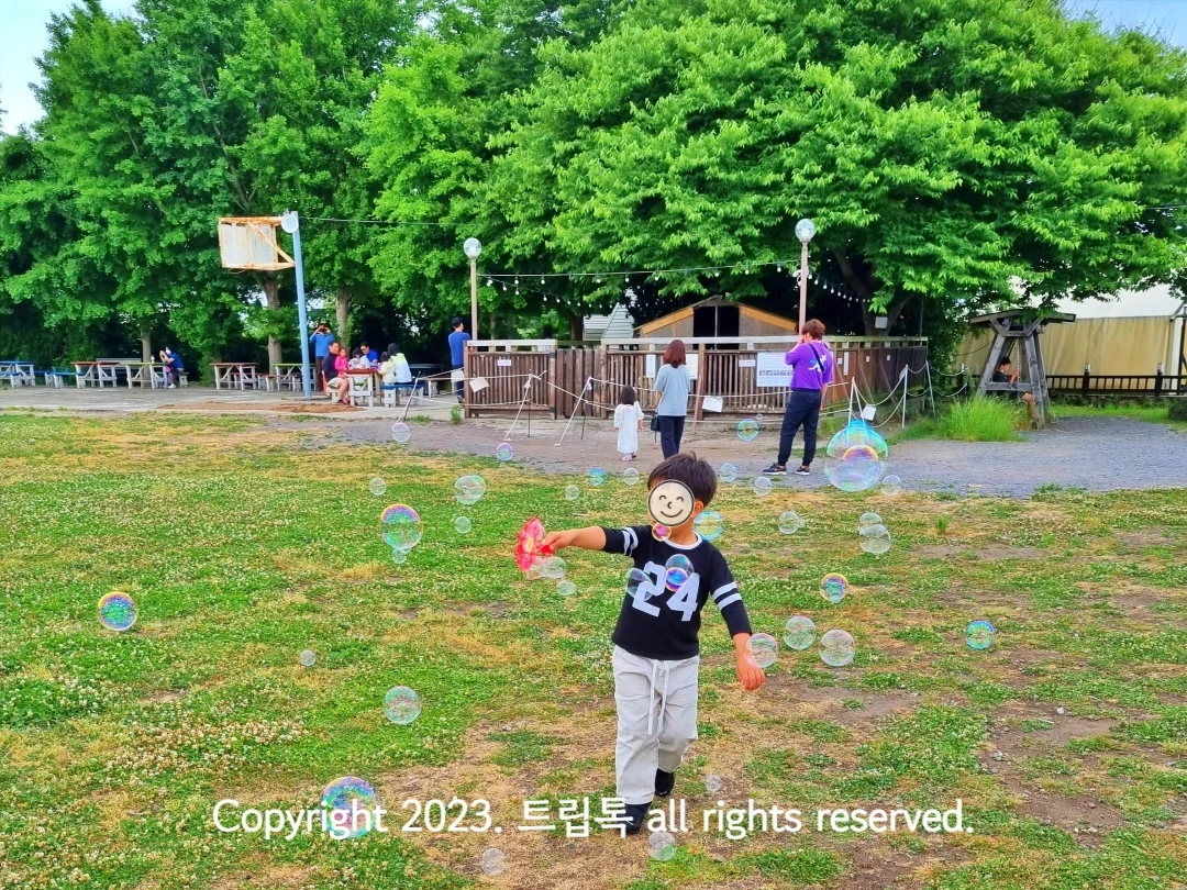 큰 나무와 푸른 운동장에서 아이가 비눗방울을 많이 만들고 있다.