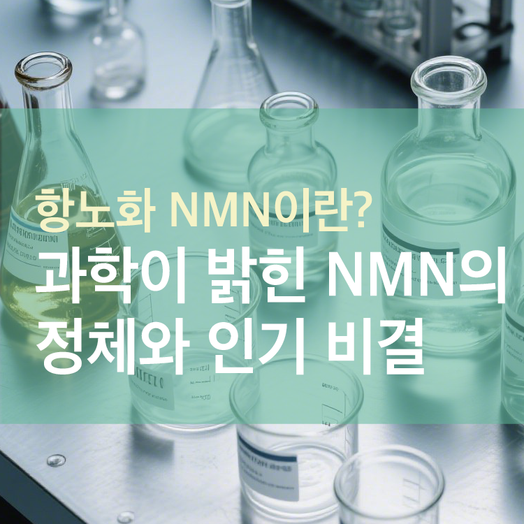 과학이 밝힌 NMN의 정체와 인기 비결