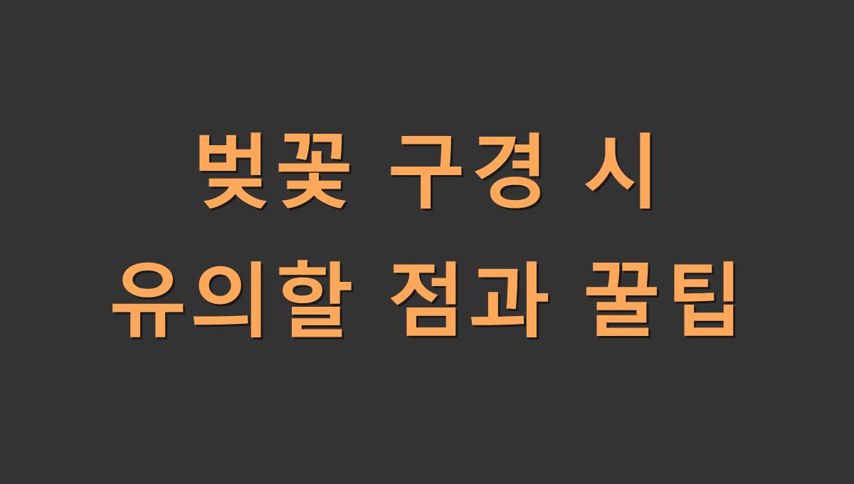 벚꽃 구경 시 유의할 점과 꿀팁
