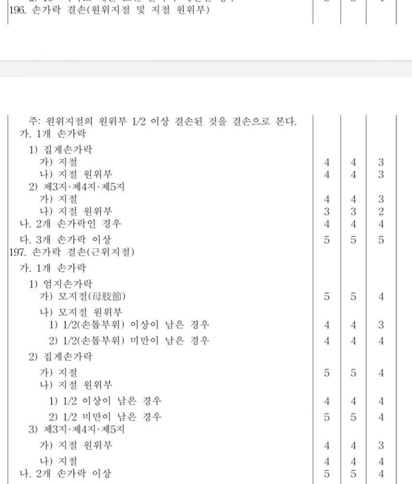 손가락 결손도 4급