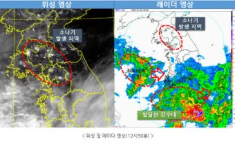 장마 예보 2025년 예상 지역별 강수 시기와 대비책 정리_15