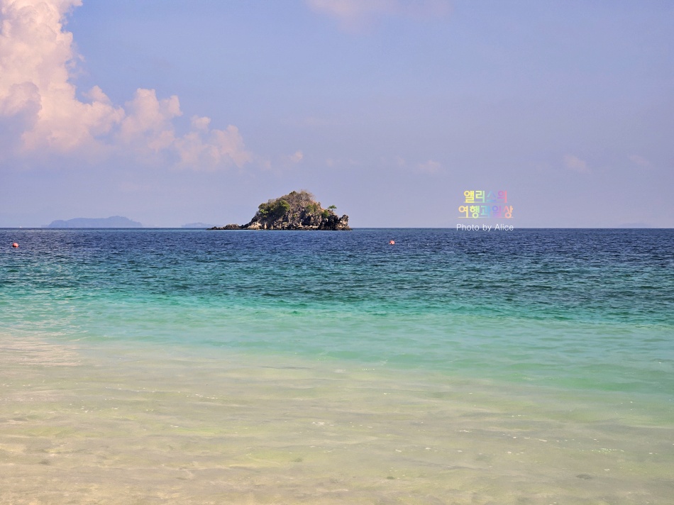 푸켓 스노클링, 피피섬 마야섬 몽키 비치 카이섬 투어 리뷰 코스 가격